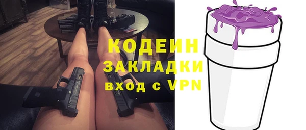 спиды Богданович