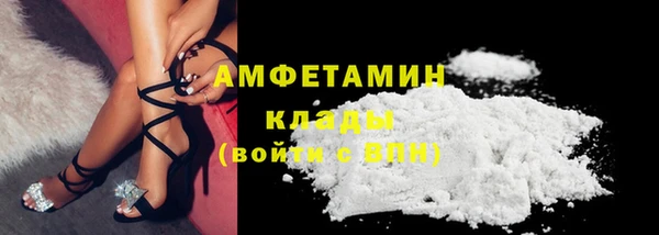 спиды Богданович
