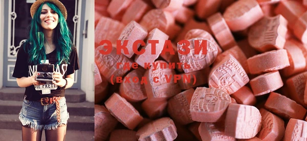 спиды Богданович