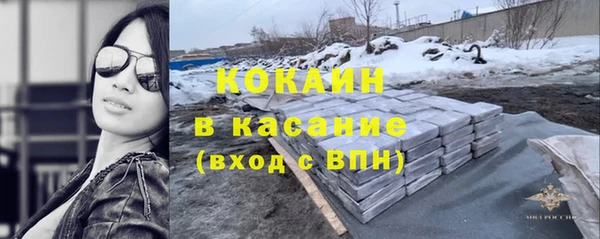 спиды Богданович