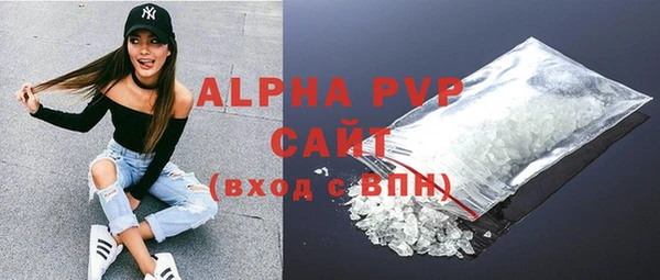 спиды Богданович